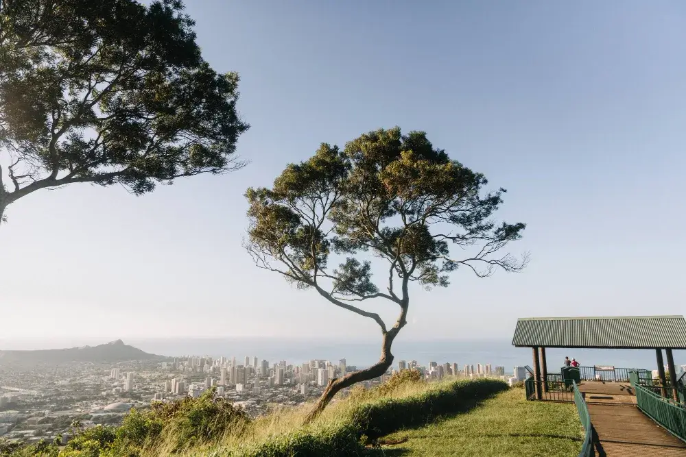 Cape Town